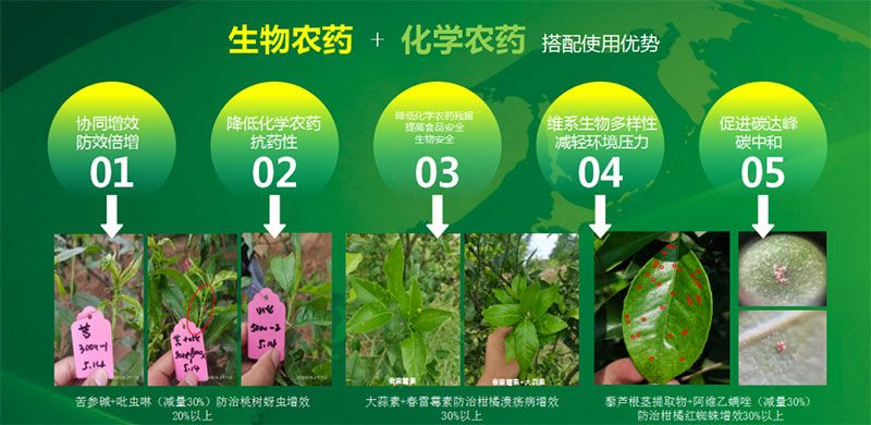 新朝陽在第六屆中國農(nóng)藥行業(yè)市場和銷售高峰論壇做“生物農(nóng)藥+化學(xué)農(nóng)藥，引領(lǐng)植保市場未來”主題報(bào)告