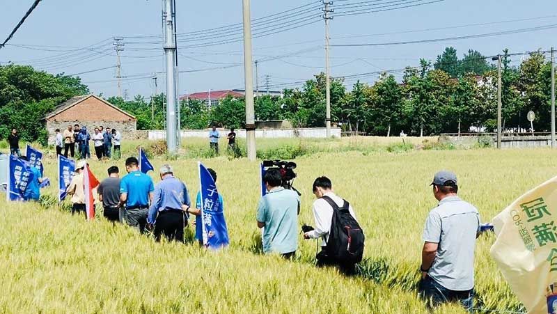 520健康植保日——擁抱綠色農(nóng)業(yè)，我們在行動