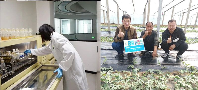 打造新朝陽生物科技“五張名片”,服務農業高質量發展!