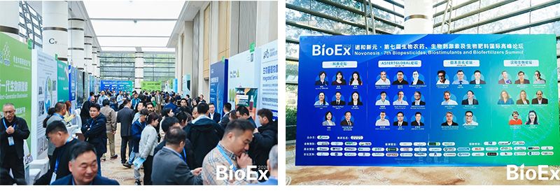 新朝陽亮相BioEx 2026：技術供給+屬地化協(xié)同，推動高性能生物刺激素高效落地