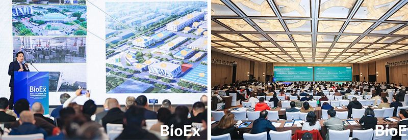 新朝陽亮相BioEx 2026:技術(shù)供給+屬地化協(xié)同,推動(dòng)高性能生物刺激素高效落地