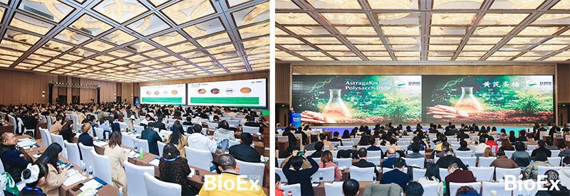 新朝陽亮相BioEx 2026:技術(shù)供給+屬地化協(xié)同,推動(dòng)高性能生物刺激素高效落地