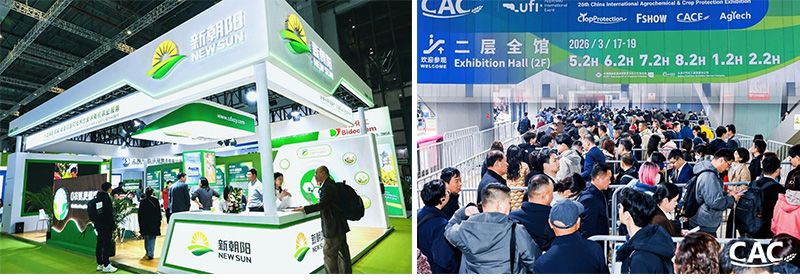 CAC 2026 | 新朝陽攜豐富產(chǎn)品矩陣亮相，全球合作再拓新局